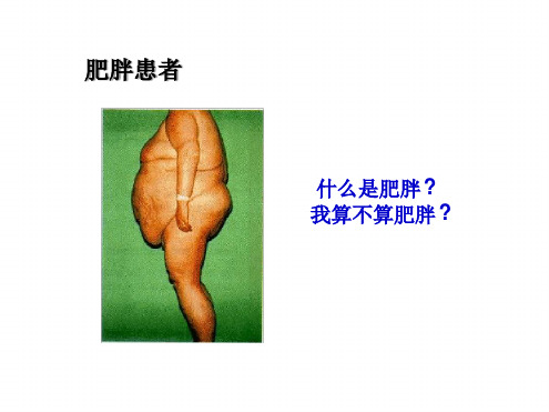沪科版生命科学高一上4 4生物体内营养物质的转变课件1