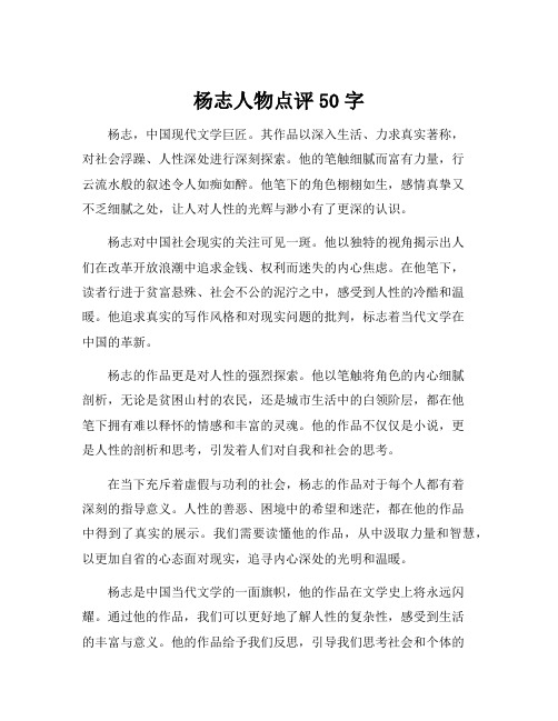 杨志人物点评50字