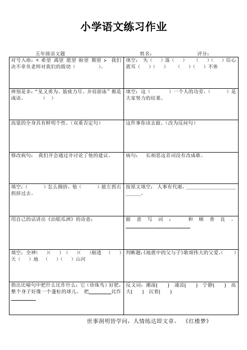 小学五年级语文精作细练II (39)