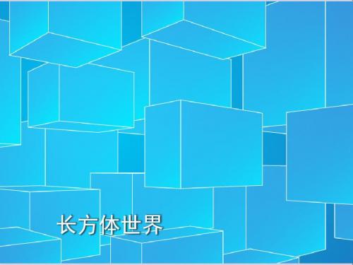 人教版小学数学五年级下册《长方体表面积体积复习》课件 