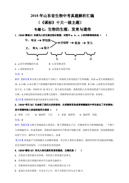 2018年山东省生物中考真题解析汇编专题七：生物的生殖、发育与遗传(解析卷)