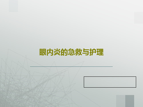 眼内炎的急救与护理共39页