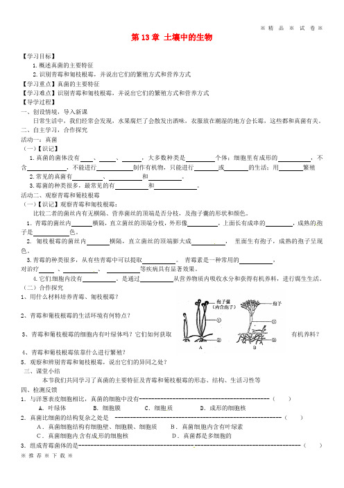 【人教版】2020七年级生物下册 第13章 土壤中的生物学案4(无答案)(新版)苏科版