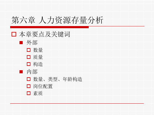 人力资源存量分析