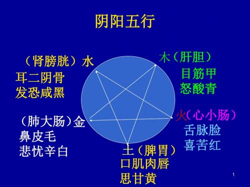 阴阳五行颜面望诊-PPT课件