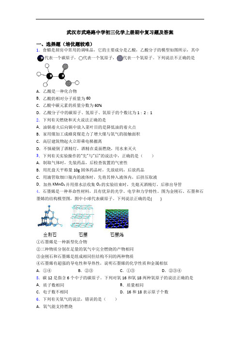 武汉市武珞路中学初三化学上册期中复习题及答案