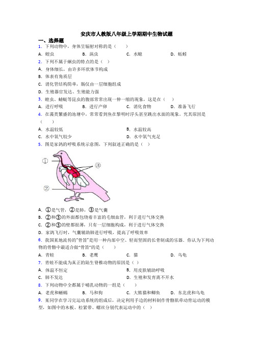 安庆市人教版八年级上学期期中生物试题