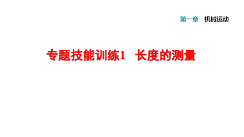 专题技能训练1   长度的测量