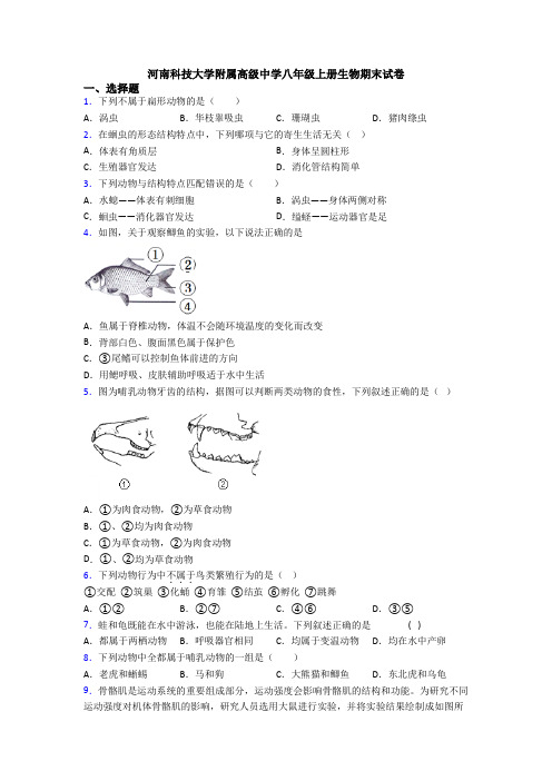 河南科技大学附属高级中学八年级上册生物期末试卷