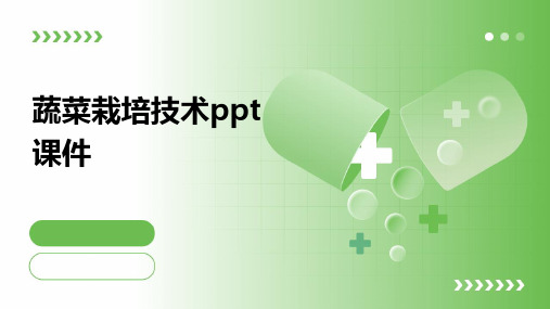 蔬菜栽培技术PPT课件