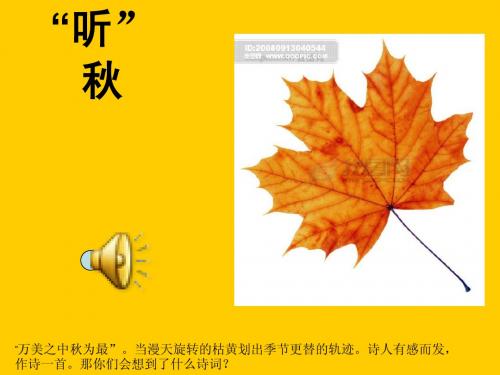 收获的季节