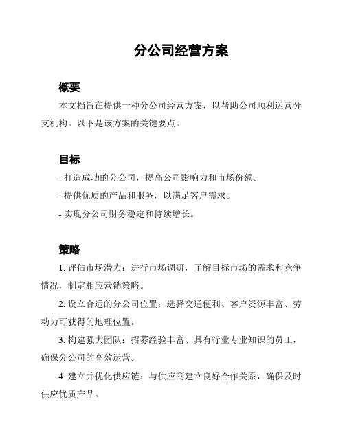 分公司经营方案