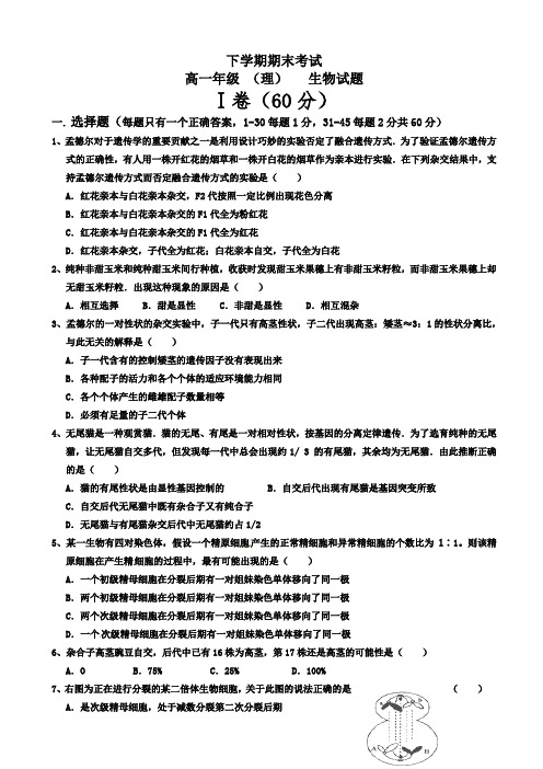 河北省冀州高一下学期期末考试生物(理)试题b卷有答案