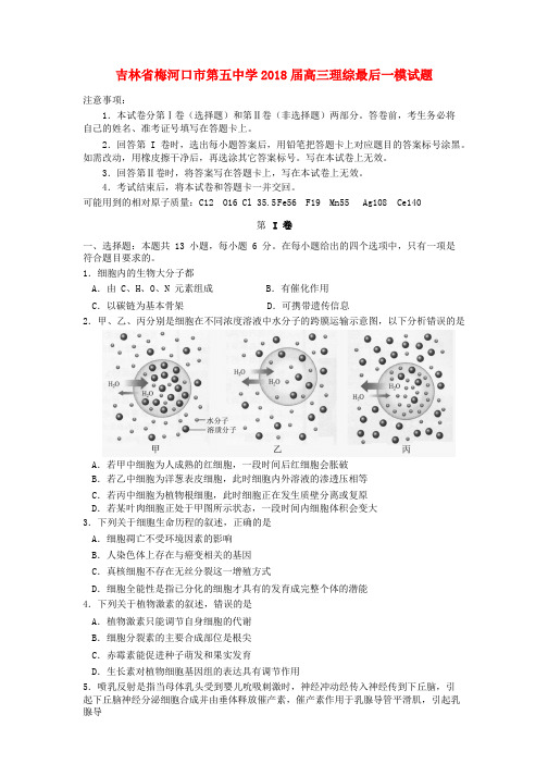 吉林省梅河口市第五中学2018届高三理综最后一模试题