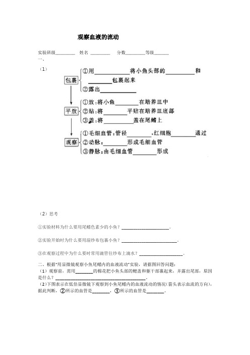 七年级生物 实验技能考试