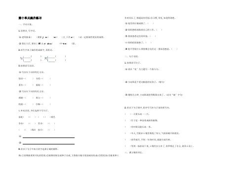 三年级语文下册 第十单元 提升练习 长版长版小学三年级下册语文试题