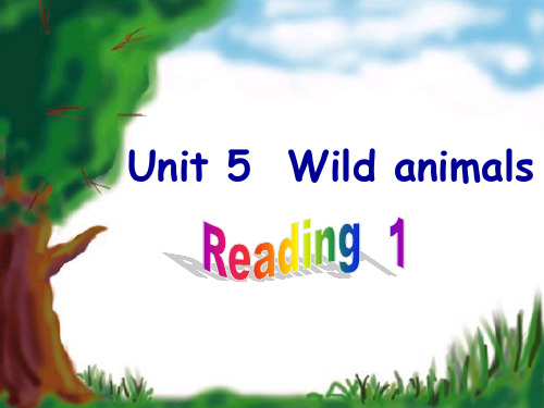 牛津译林八年级英语上册Unit5 Wild animals reading1 课件(共18张PPT)