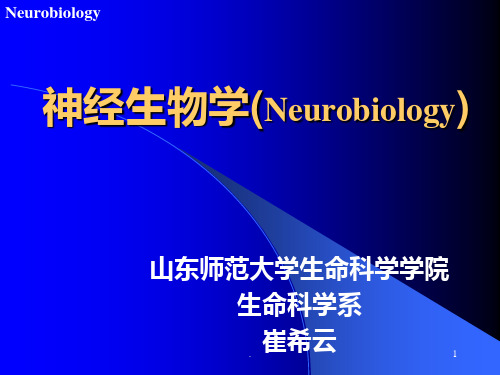 神经生物学1xulunPPT课件