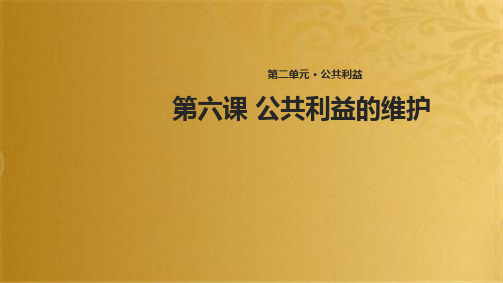 八年级道德与法治上册 第二单元 公共利益 第六课 公共利益的维护课件 教科版(共40张PPT)