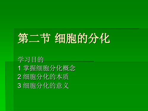 人教版高一生物课件必修一第二节细胞的分化