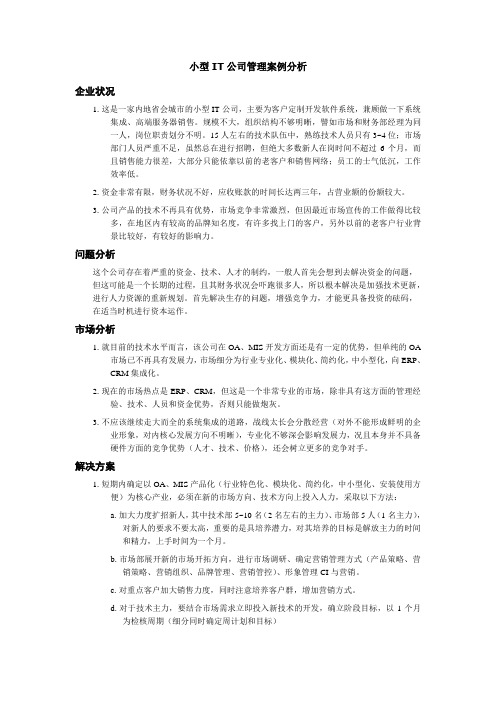 小型IT公司管理案例分析