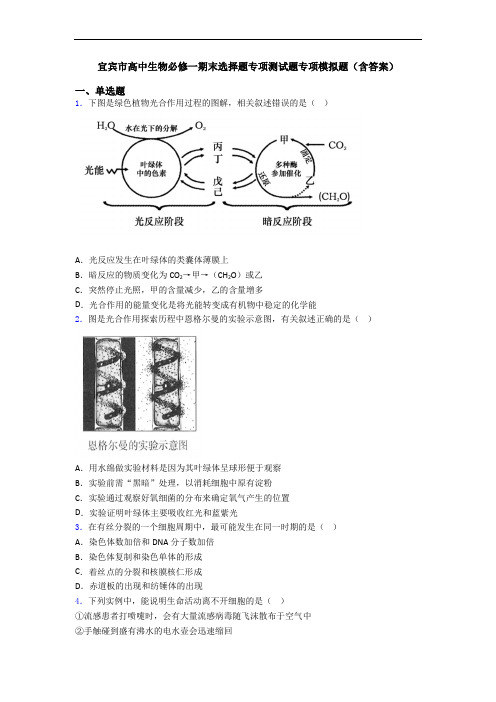 宜宾市高中生物必修一期末选择题专项测试题专项模拟题(含答案)