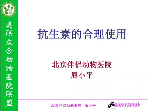 抗生素的合理使用