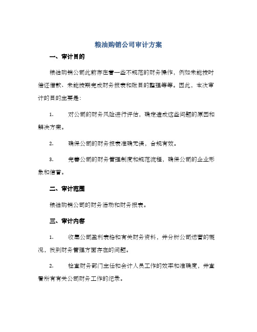 粮油购销公司审计方案