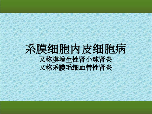 系膜细胞内皮细胞病