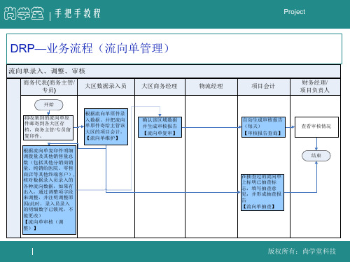 DRP项目(图片).pptx