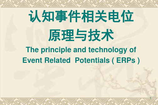 ERP原理与技术PPT课件