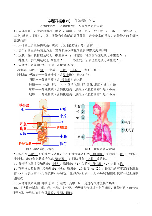 4.1专题四提纲(1)  生物圈中的人