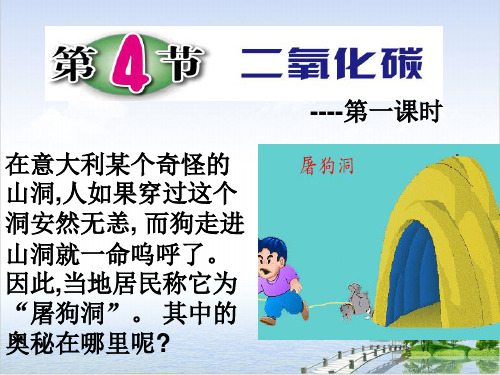 浙教版科学八年级下《二氧化碳》ppt课堂课件4
