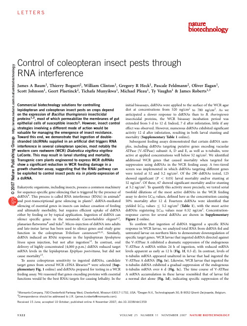 Control of coleopteran insect pests through RNA interference