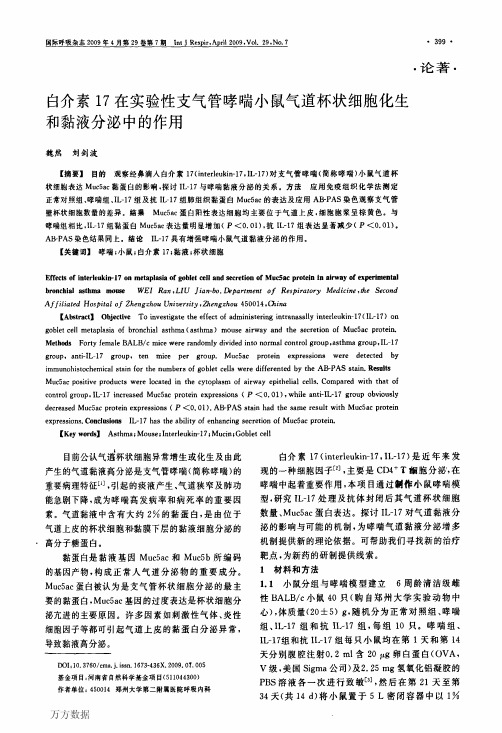 白介素17在实验性支气管哮喘小鼠气道杯状细胞化生和黏液分泌中的作用