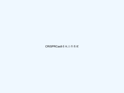 CRISPRCas9系统工作原理 PPT