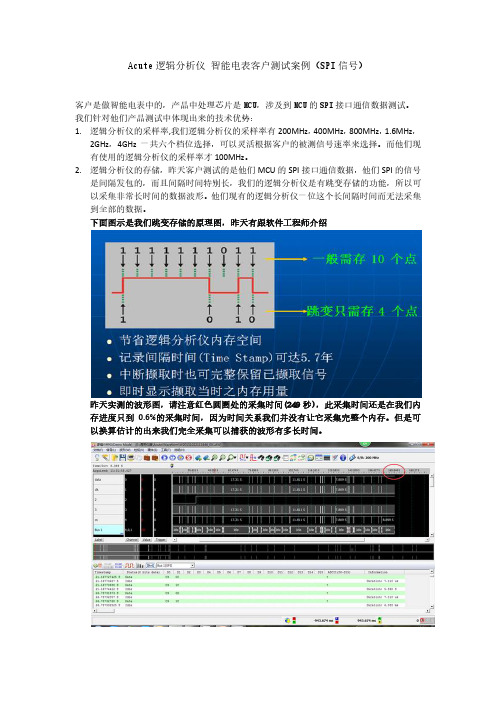 Acute逻辑分析仪 智能电表客户测试案例(SPI信号)