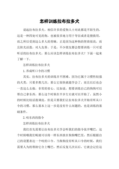 怎样训练拉布拉多犬