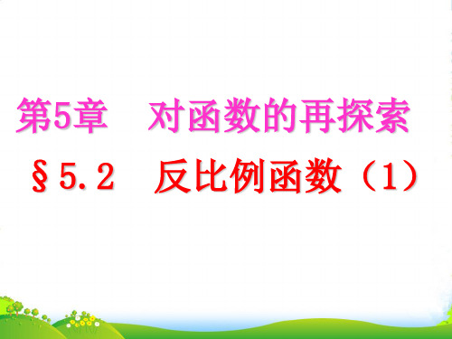 青岛版九年级数学下册第五章《反比例函数(1)》优课件