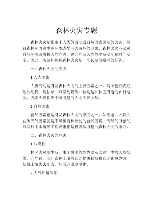 森林火灾专题