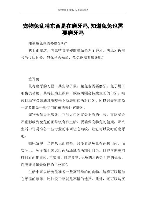 宠物兔乱啃东西是在磨牙吗,知道兔兔也需要磨牙吗