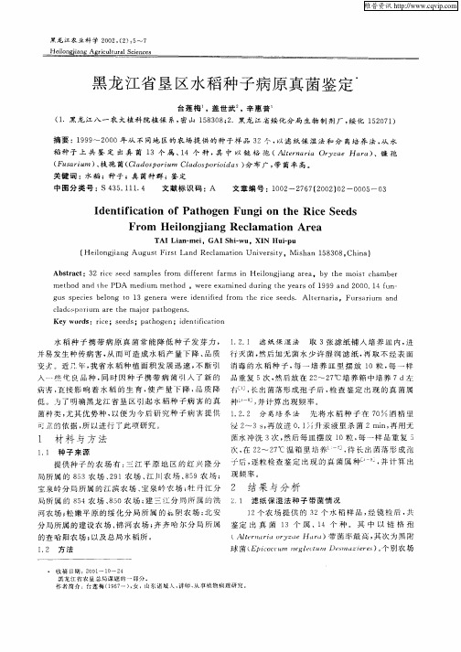 黑龙江省垦区水稻种子病原真菌鉴定