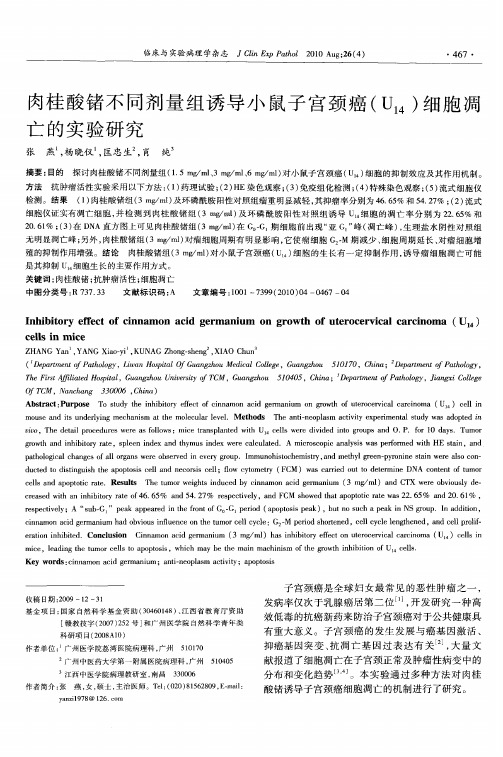 肉桂酸锗不同剂量组诱导小鼠子宫颈癌(U_(14))细胞凋亡的实验研究