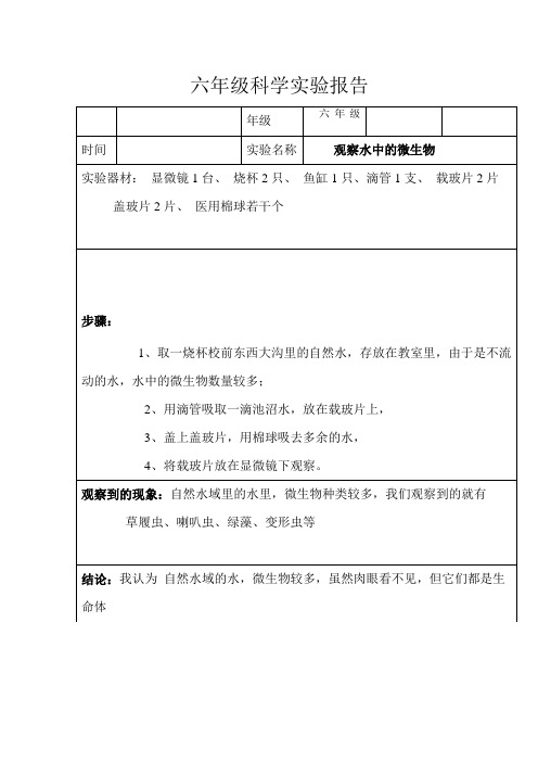 六年级科学实验报告