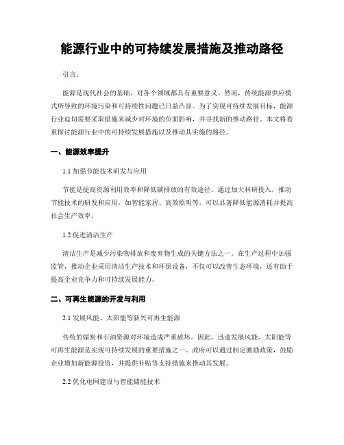 能源行业中的可持续发展措施及推动路径