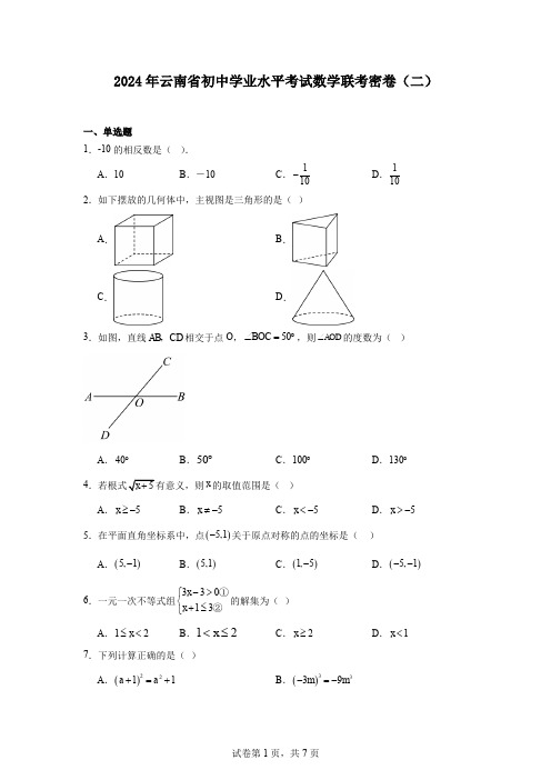 2024年云南省初中学业水平考试数学联考密卷(二)