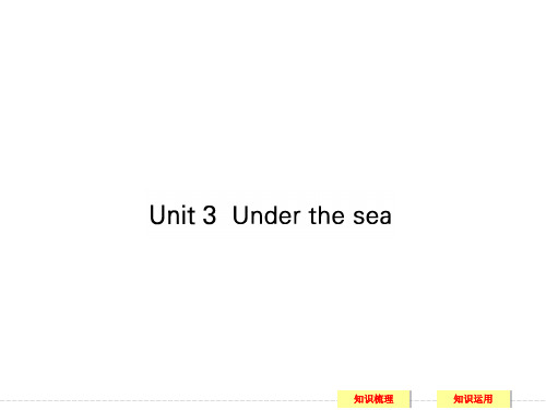 高考英语人教版一轮复习PPT：选修7Unit3Underthesea课件