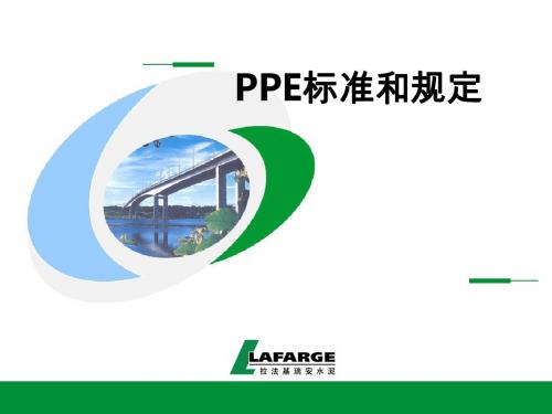 PPE标准和规定ppt课件