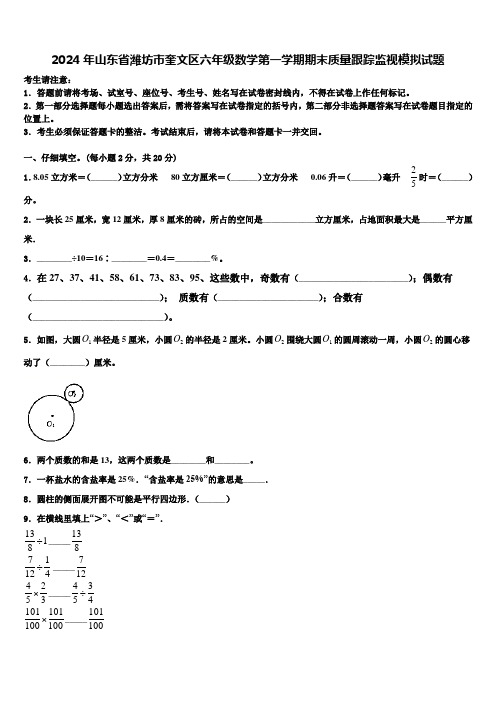 2024年山东省潍坊市奎文区六年级数学第一学期期末质量跟踪监视模拟试题含解析