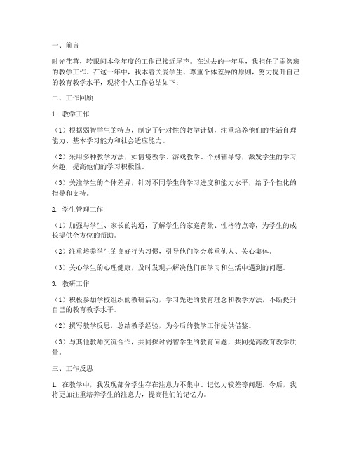 弱智_教师个人工作总结